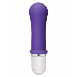 Boom! 10 Function Vibrator