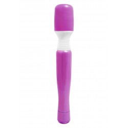 Wanachi Mini Massager