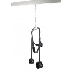 Spinning Fantasy Swing Spinning Fantasy Swing