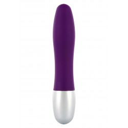 Discretion Probe Vibrator