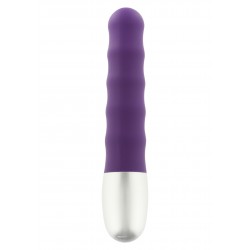 Discretion Ribbed Vibrator